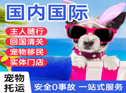 桂林两江机场货运国际宠物托运 【国